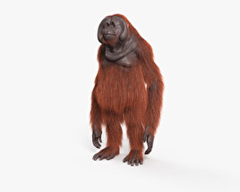 Орангутан 3D модель