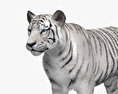White Tiger 3d model