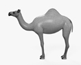 單峰駱駝 3D模型