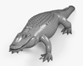 Alligator 3d model
