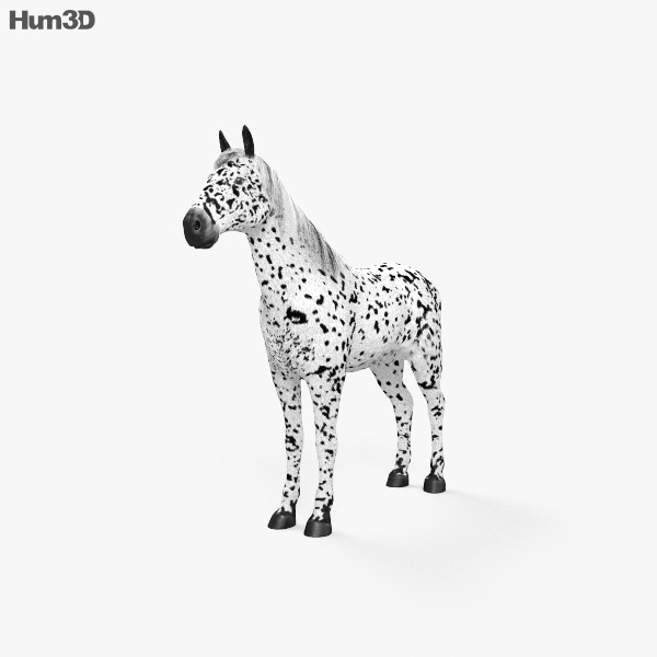 Knabstrupper horse 3D model