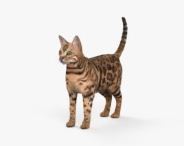 Bengal Cat 3D model