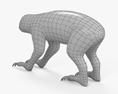 Двопалий лінивець 3D модель