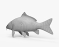 鲤鱼 3D模型