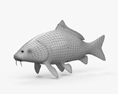 鲤鱼 3D模型