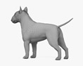 Bull terrier Modelo 3d
