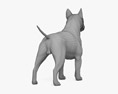 Bull terrier Modelo 3D