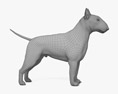 Bullterrier 3D-Modell