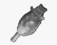 Морський коник 3D модель