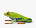 붉은눈청개구리 3D 모델 