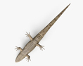 Common Lizard 3d model