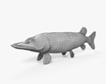 白斑狗魚 3D模型