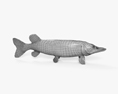 Northern Pike 3d model