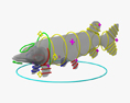 白斑狗魚 3D模型