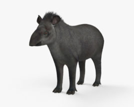 Tapir 3D model
