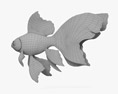 Goldfish cola de velo Modelo 3D