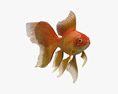 Золота рибка веерохвост 3D модель