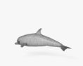 큰돌고래 3D 모델 