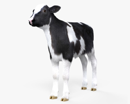牛犊 3D模型