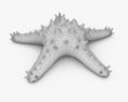 Морська зірка 3D модель