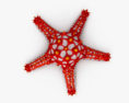 Étoile de mer à boutons rouges Modèle 3d