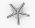 Red-Knobbed Starfish 3d model