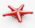 Red-Knobbed Starfish 3d model