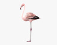 Flamingo Modelo 3d