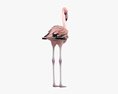 Flamingo 3D-Modell