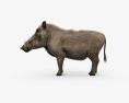 Warzenschwein 3D-Modell