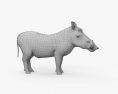 疣豬屬 3D模型