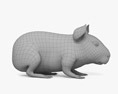 Guinea Pig 3d model