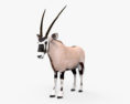 Oryx 3D-Modell