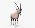 Oryx Modèle 3d