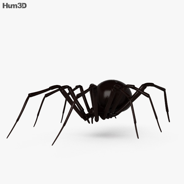 Black Widow Spider 3D model