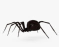 Black Widow Spider 3d model