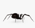 Black Widow Spider 3d model