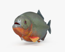 Piranha 3D model