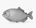 Piranha 3d model