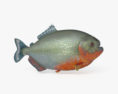 Piranha 3d model