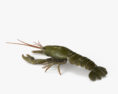 Crayfish 3d model