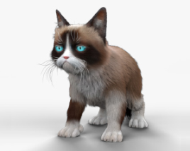 Grumpy Cat 3D model