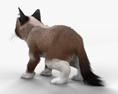 Grumpy Cat 3d model