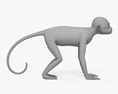 Scimmia cappuccina Modello 3D