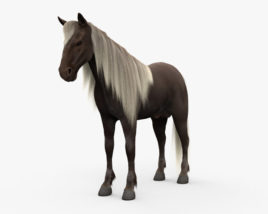 Rocky Mountain Horse 3D 모델 
