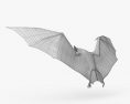 普通蝙蝠 3D模型