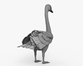 Cisne vulgar Modelo 3D