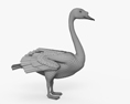 疣鼻天鹅 3D模型