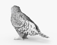 Snowy Owl 3d model