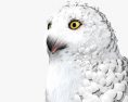 Snowy Owl 3d model